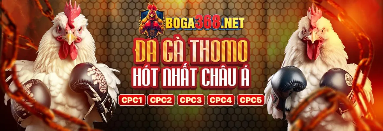 Đá gà trực tuyến 6686bet khuyến mãi 2026