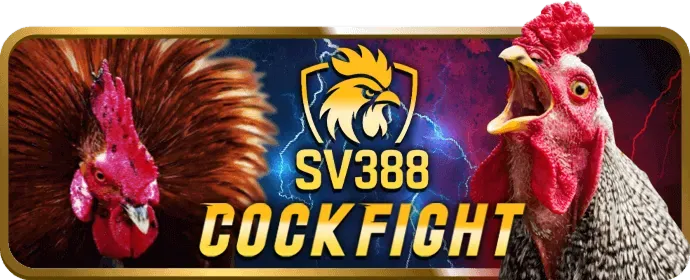 Bảo Mật 6686bet